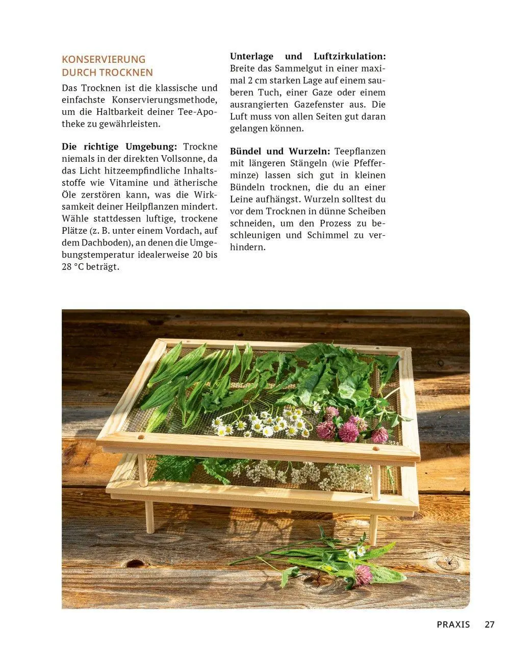 Bild: 9783910801141 | Die Tee-Apotheke | Axel Gutjahr | Taschenbuch | Kostbare Natur | 2026