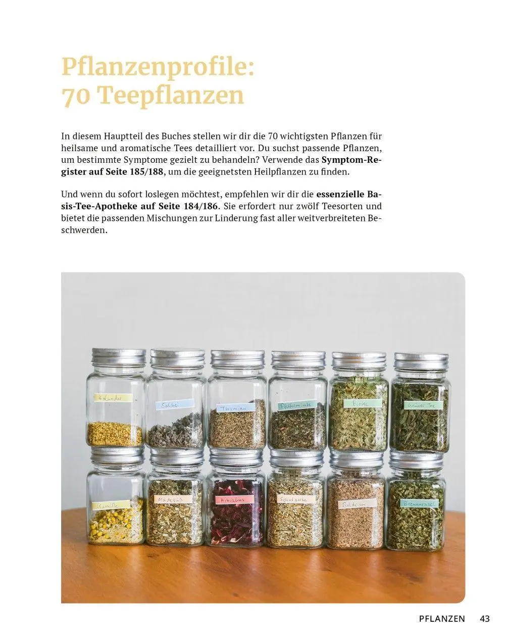 Bild: 9783910801141 | Die Tee-Apotheke | Axel Gutjahr | Taschenbuch | Kostbare Natur | 2026