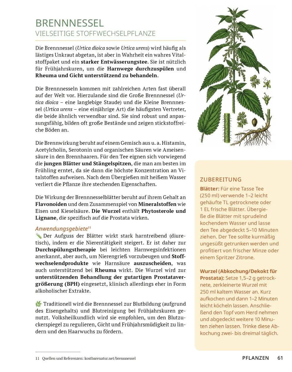 Bild: 9783910801141 | Die Tee-Apotheke | Axel Gutjahr | Taschenbuch | Kostbare Natur | 2026