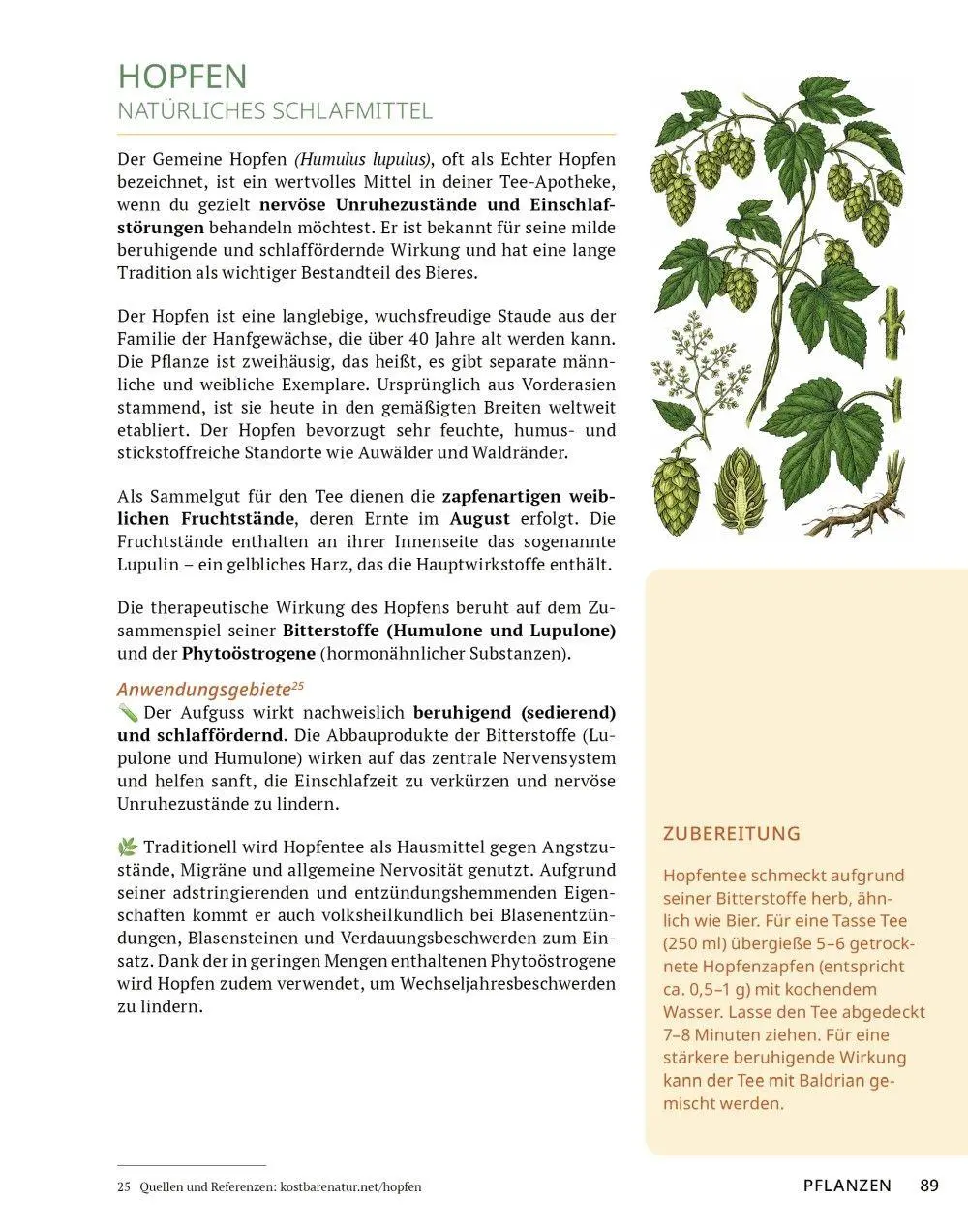 Bild: 9783910801141 | Die Tee-Apotheke | Axel Gutjahr | Taschenbuch | Kostbare Natur | 2026
