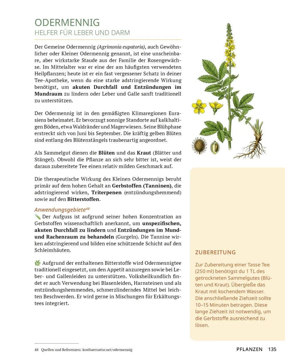 Bild: 9783910801141 | Die Tee-Apotheke | Axel Gutjahr | Taschenbuch | Kostbare Natur | 2026