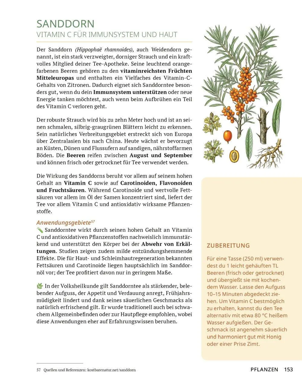 Bild: 9783910801141 | Die Tee-Apotheke | Axel Gutjahr | Taschenbuch | Kostbare Natur | 2026