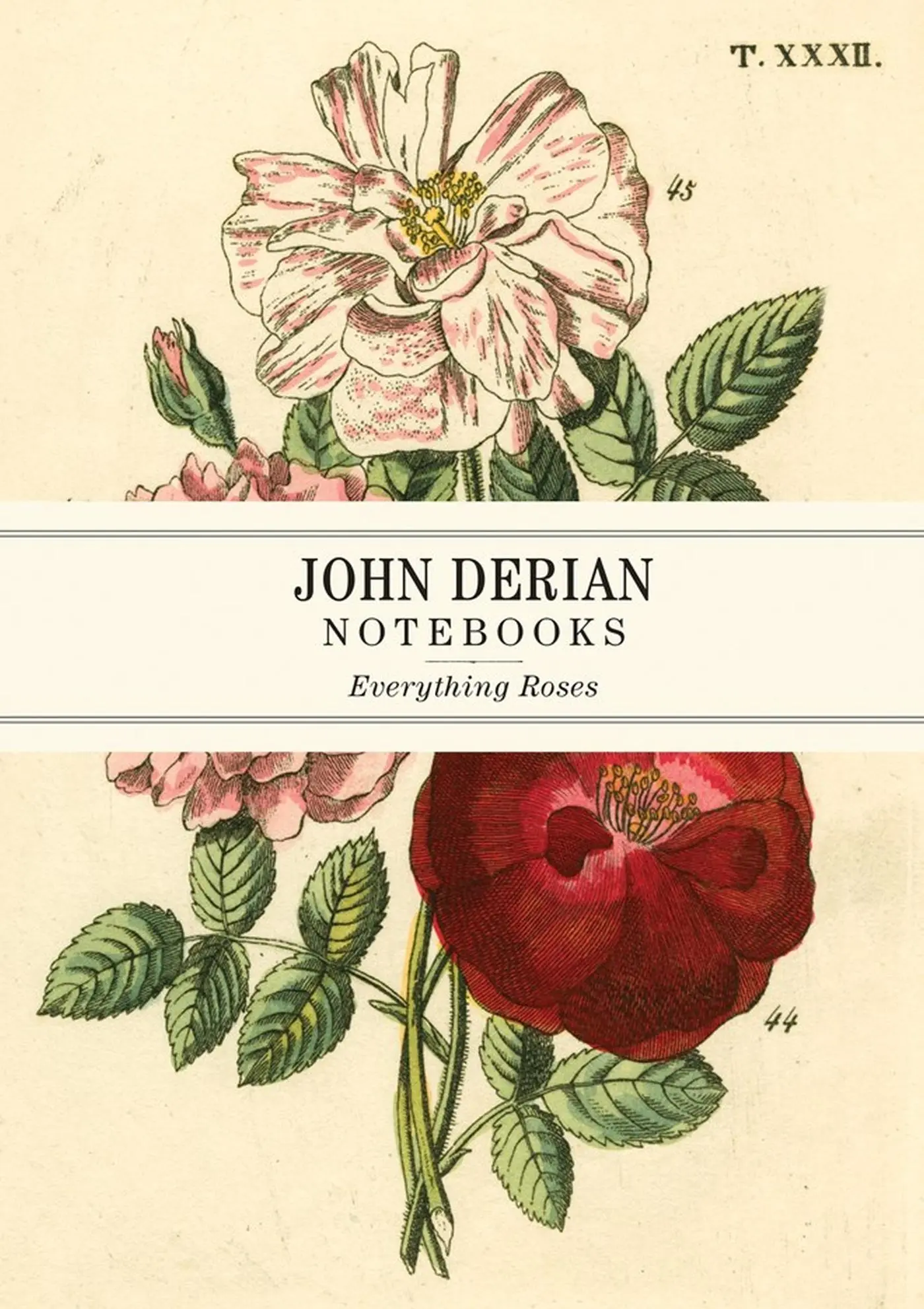 Cover: 9781648291241 | John Derian Paper Goods: Everything Roses Notebooks | John Derian