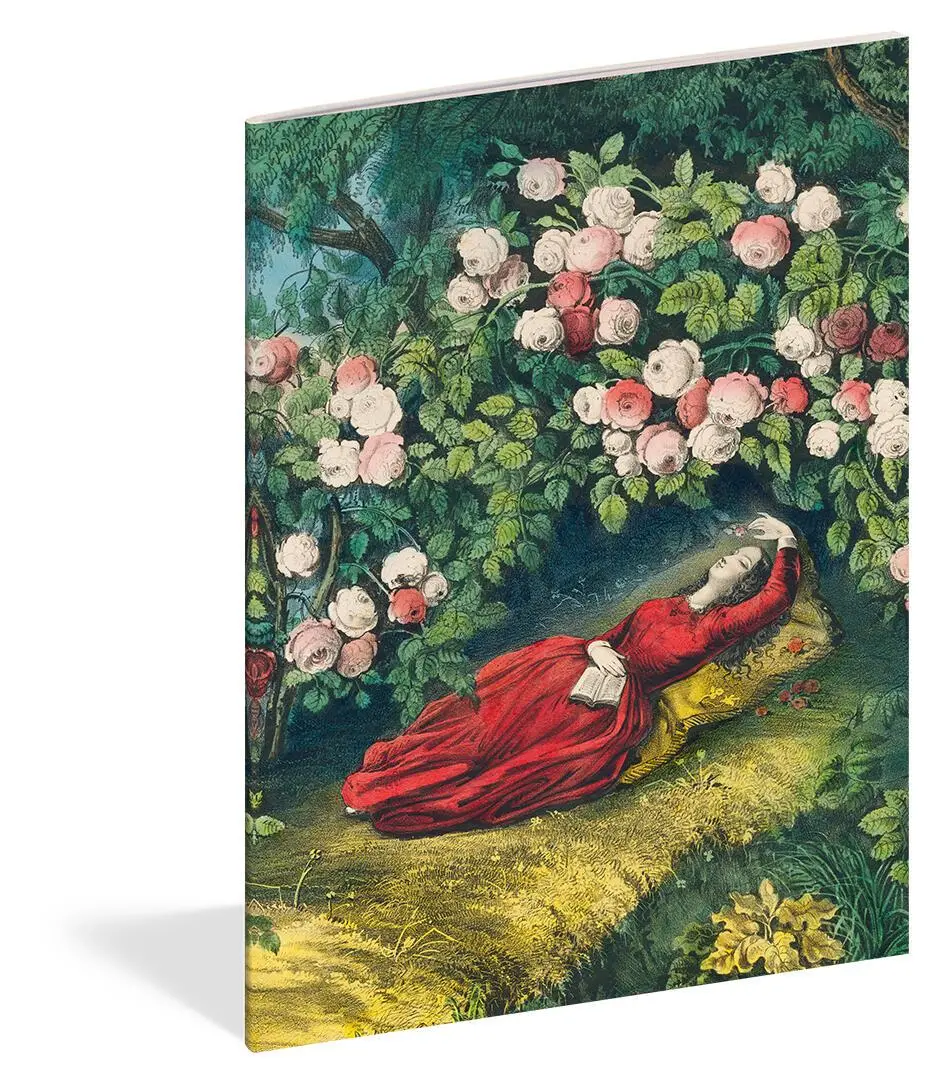 Bild: 9781648291241 | John Derian Paper Goods: Everything Roses Notebooks | John Derian