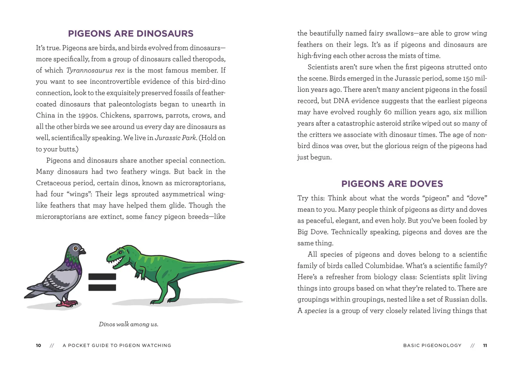 Bild: 9781523511341 | A Pocket Guide to Pigeon Watching | Rosemary Mosco | Taschenbuch