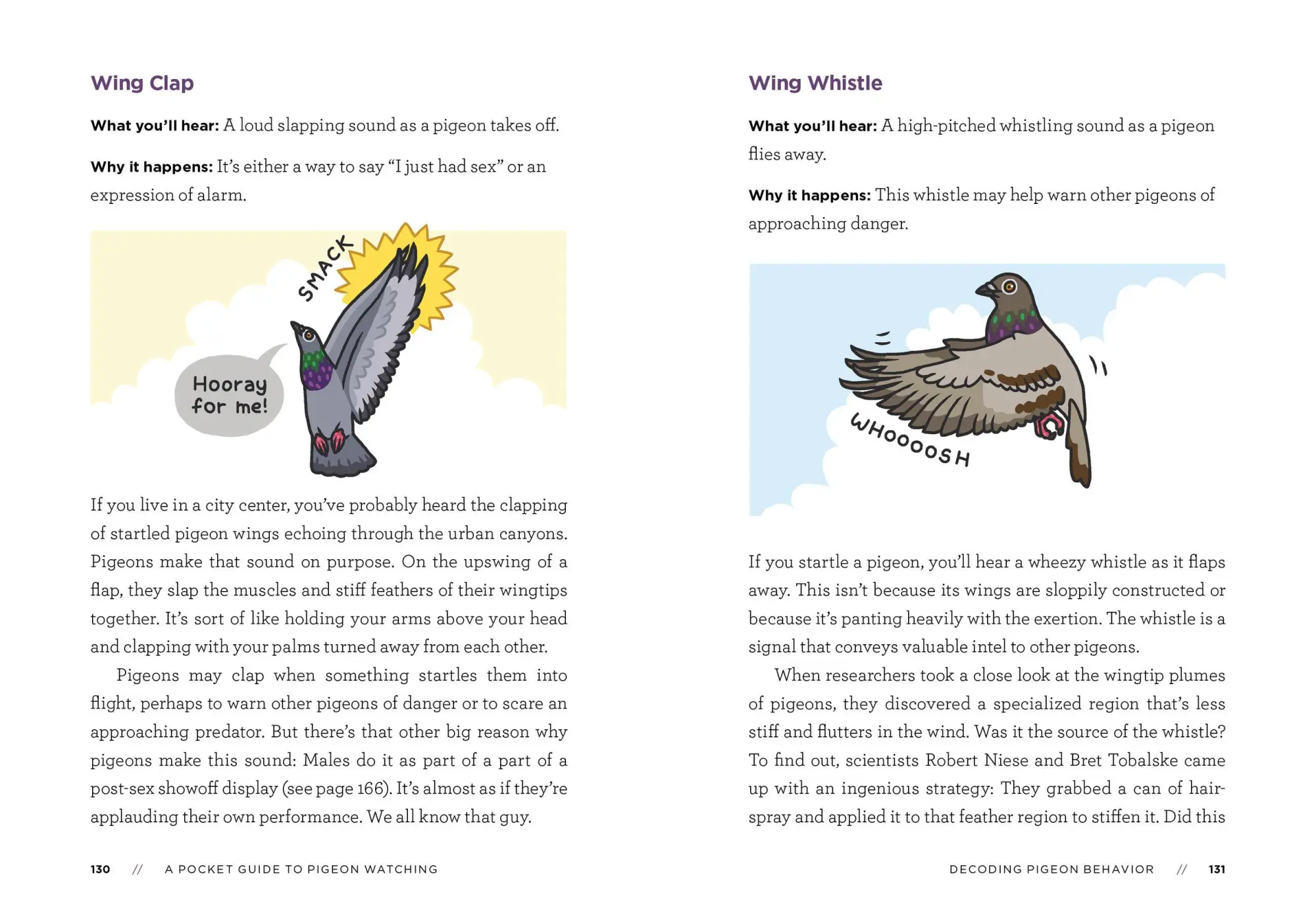 Bild: 9781523511341 | A Pocket Guide to Pigeon Watching | Rosemary Mosco | Taschenbuch