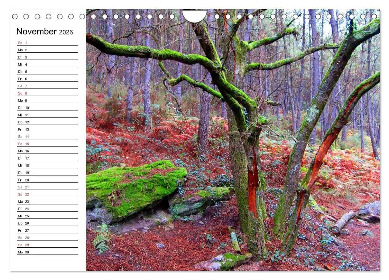 Bild: 9783457841341 | Jakobsweg - Camino Portugues Central (Wandkalender 2026 DIN A4...