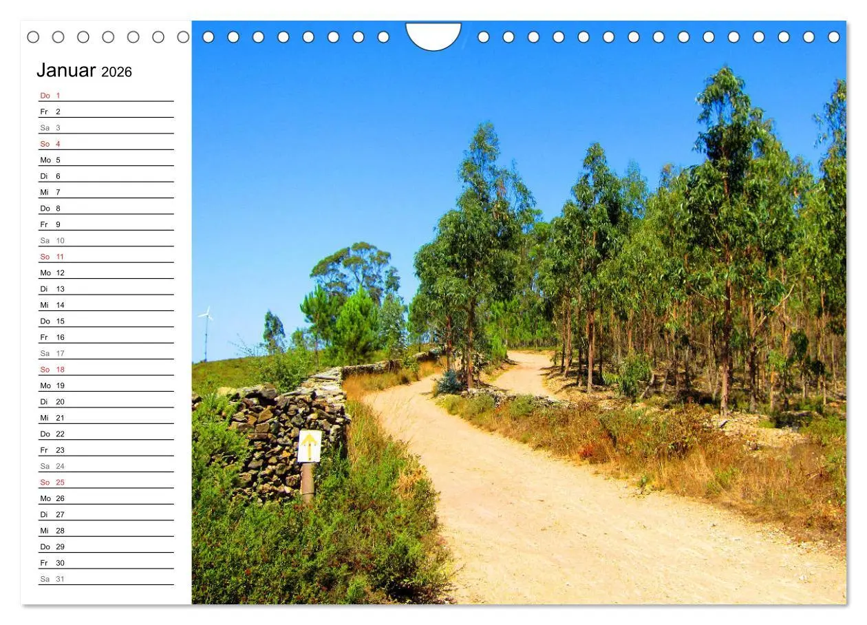 Bild: 9783457841341 | Jakobsweg - Camino Portugues Central (Wandkalender 2026 DIN A4...