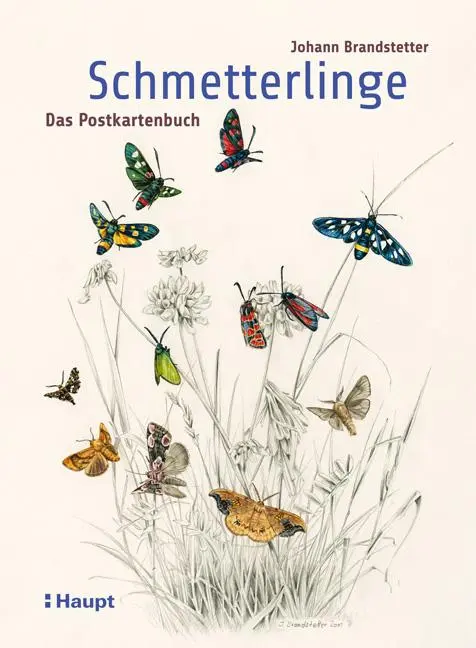Cover: 9783258081441 | Schmetterlinge - Das Postkartenbuch | Johann Brandstetter | 84 S.