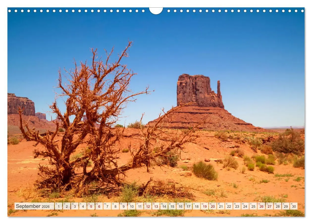 Bild: 9783457521441 | FASZINATION USA Geniale Landschaften (Wandkalender 2026 DIN A3...