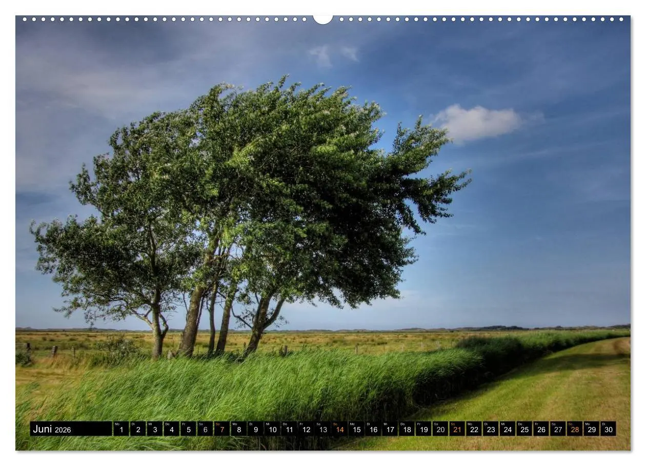 Bild: 9783516161441 | Borkum (Wandkalender 2026 DIN A2 quer), CALVENDO Monatskalender | 2026