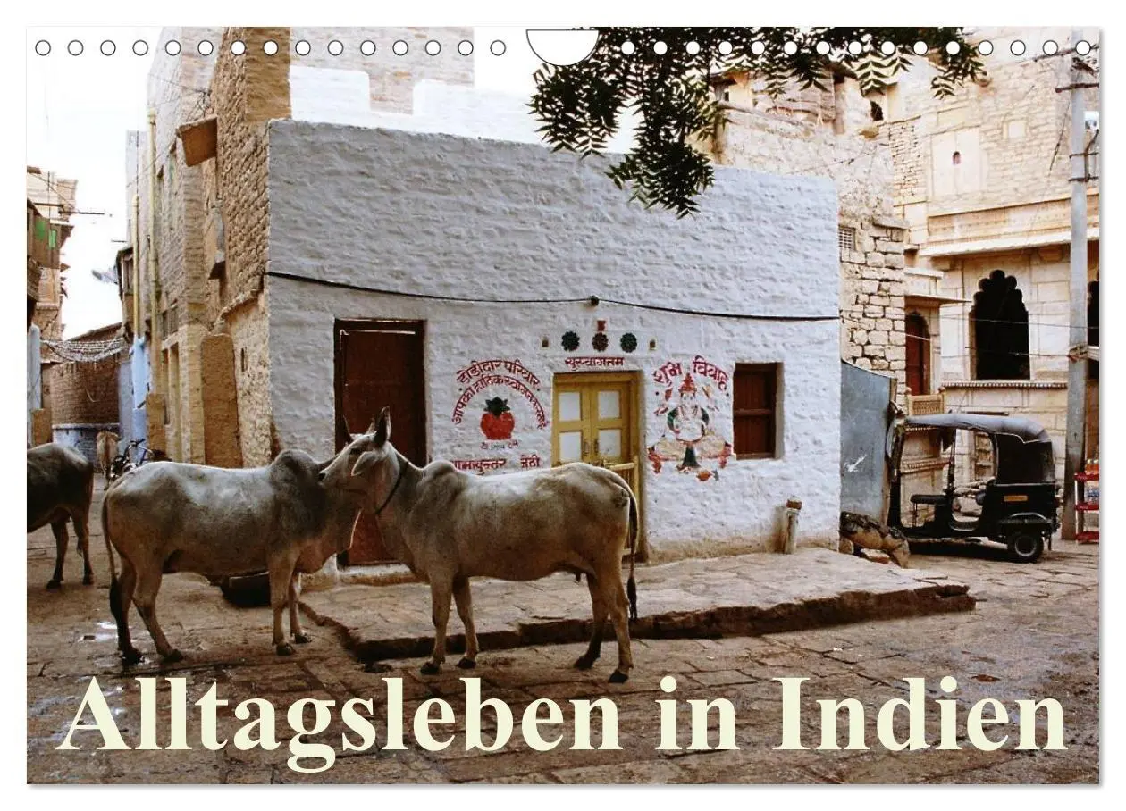 Cover: 9783516221541 | Alltagsleben in Indien (Wandkalender 2026 DIN A4 quer), CALVENDO...