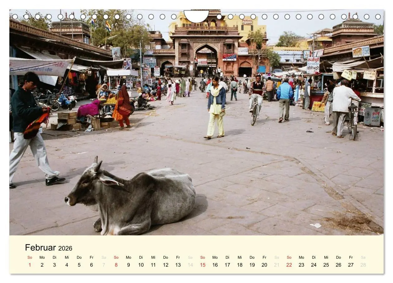 Bild: 9783516221541 | Alltagsleben in Indien (Wandkalender 2026 DIN A4 quer), CALVENDO...