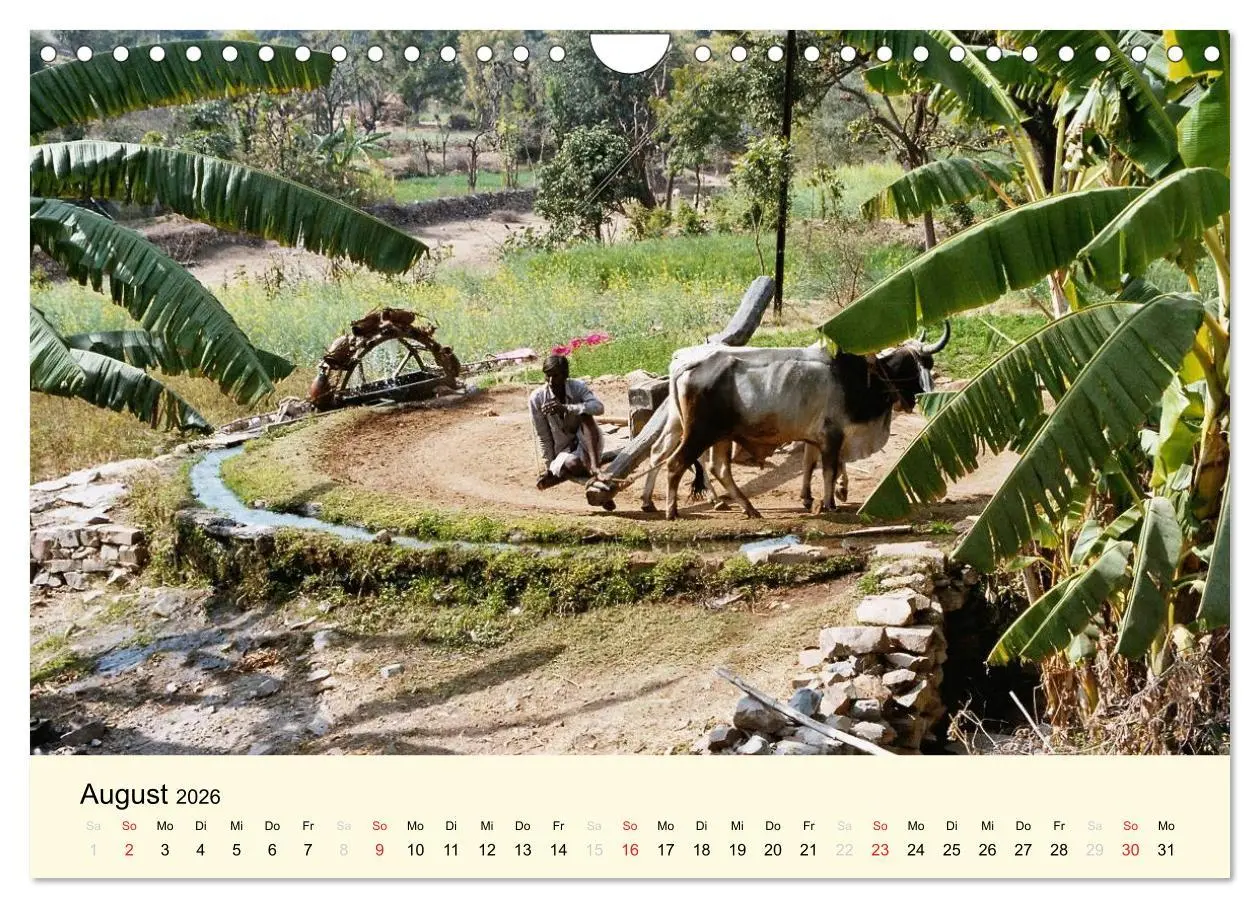 Bild: 9783516221541 | Alltagsleben in Indien (Wandkalender 2026 DIN A4 quer), CALVENDO...