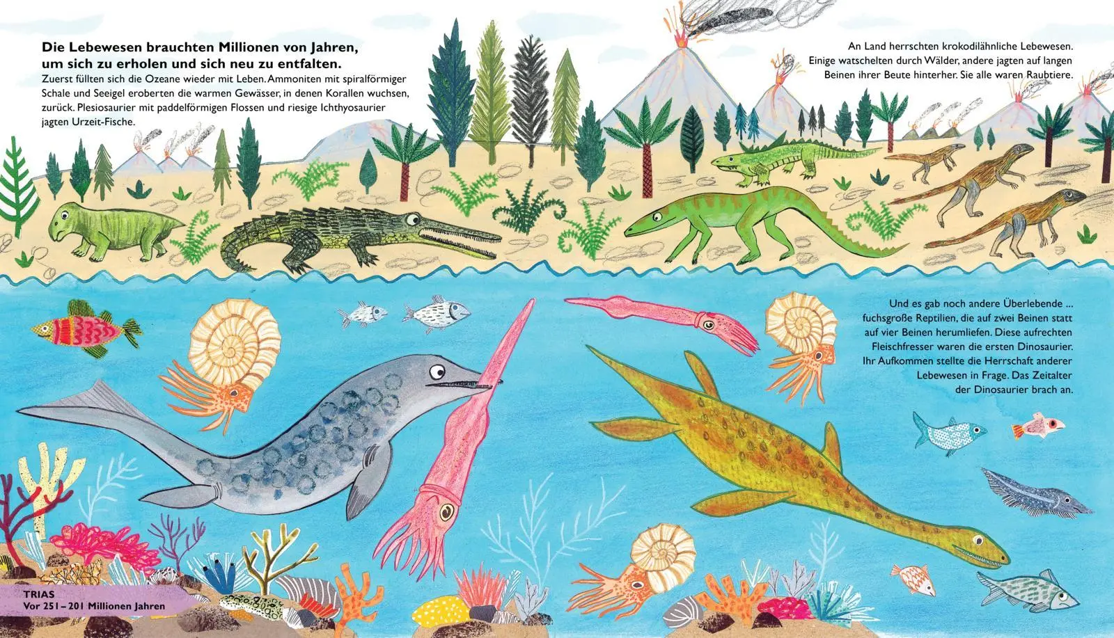 Bild: 9783551251541 | So lebten die Dinosaurier und andere Tiere der Urzeit | Barr (u. a.)