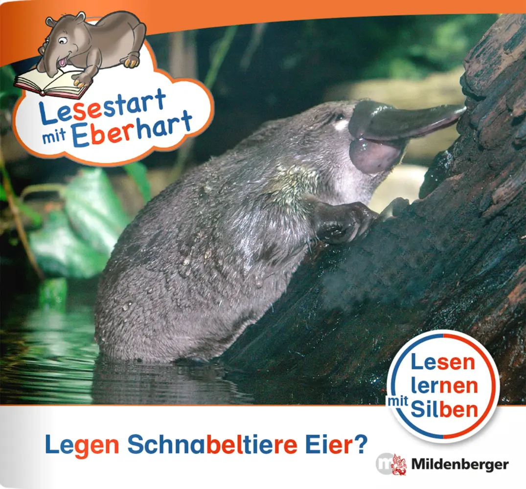 Cover: 9783619041541 | Lesestart mit Eberhart: Legen Schnabeltiere Eier? | Drecktrah (u. a.)