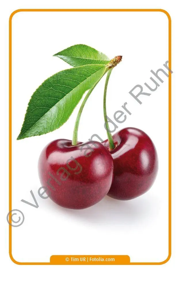 Bild: 9783834631541 | Lebensmittel | Redaktionsteam Verlag an der Ruhr | Box | 64 S. | 2016