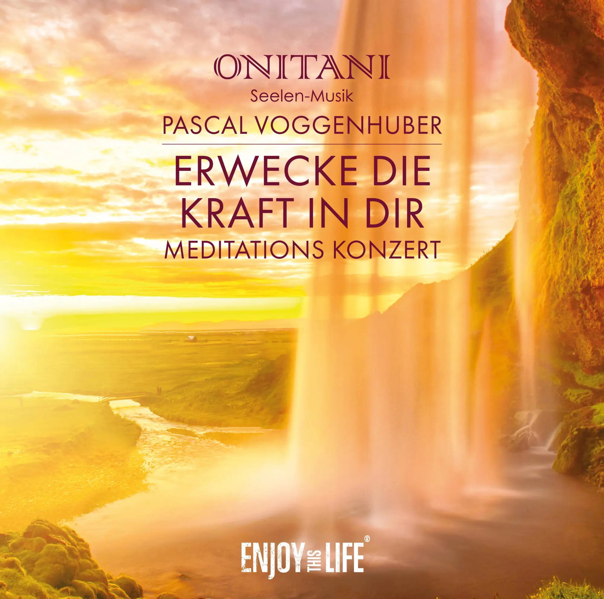 Cover: 9783961111541 | Erwecke die Kraft in Dir | Live Meditations-Konzert | Voggenhuber | CD