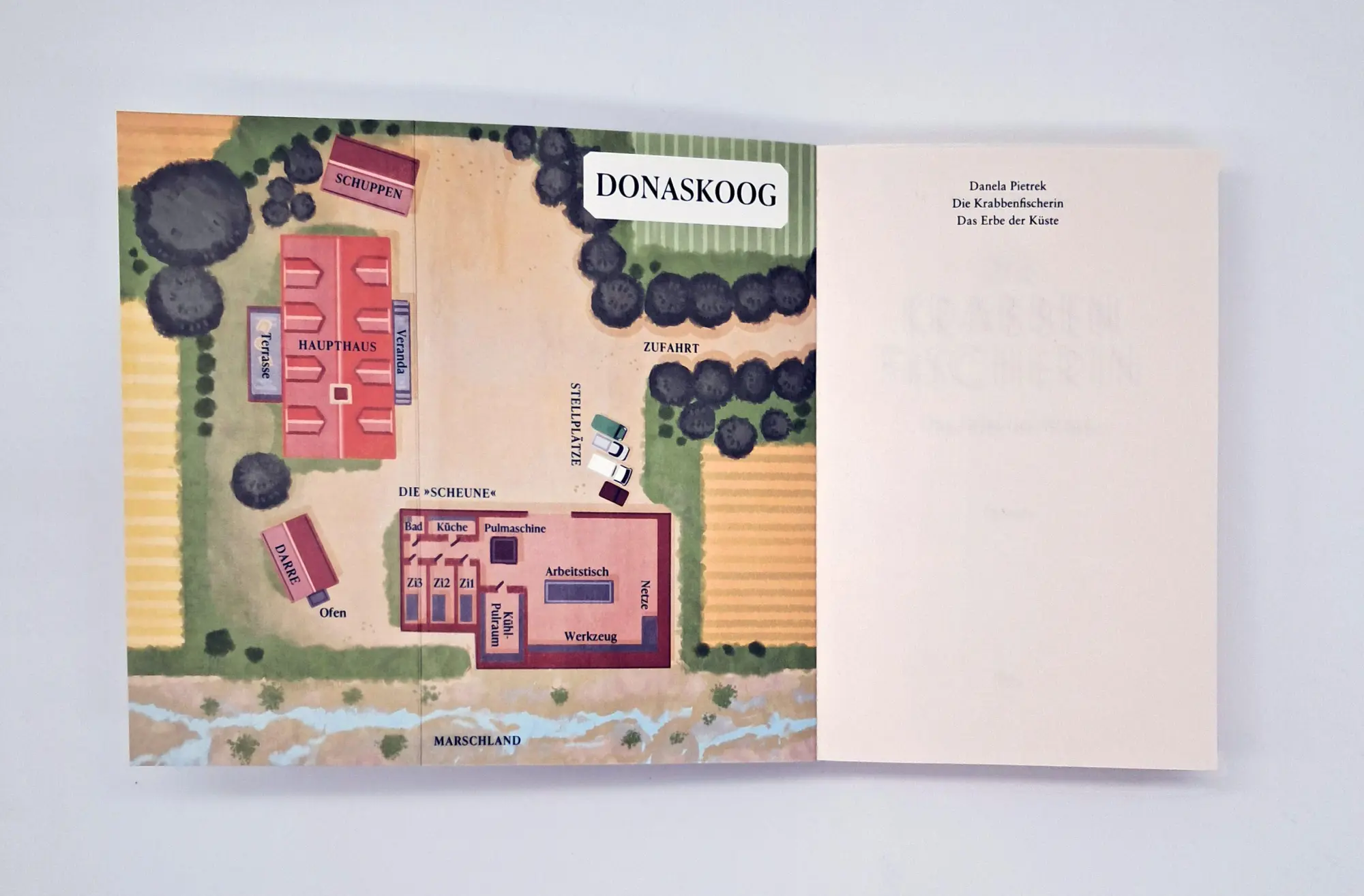 Bild: 9783423221641 | Die Krabbenfischerin - Das Erbe der Küste | Danela Pietrek | Buch