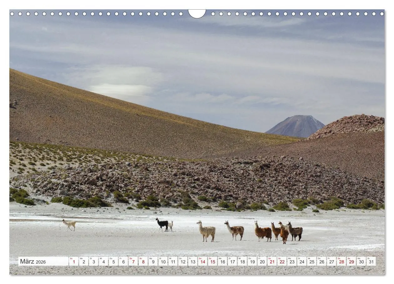 Bild: 9783457361641 | Magie dieses Südamerikanischen Landes, Chile (Wandkalender 2026 DIN...