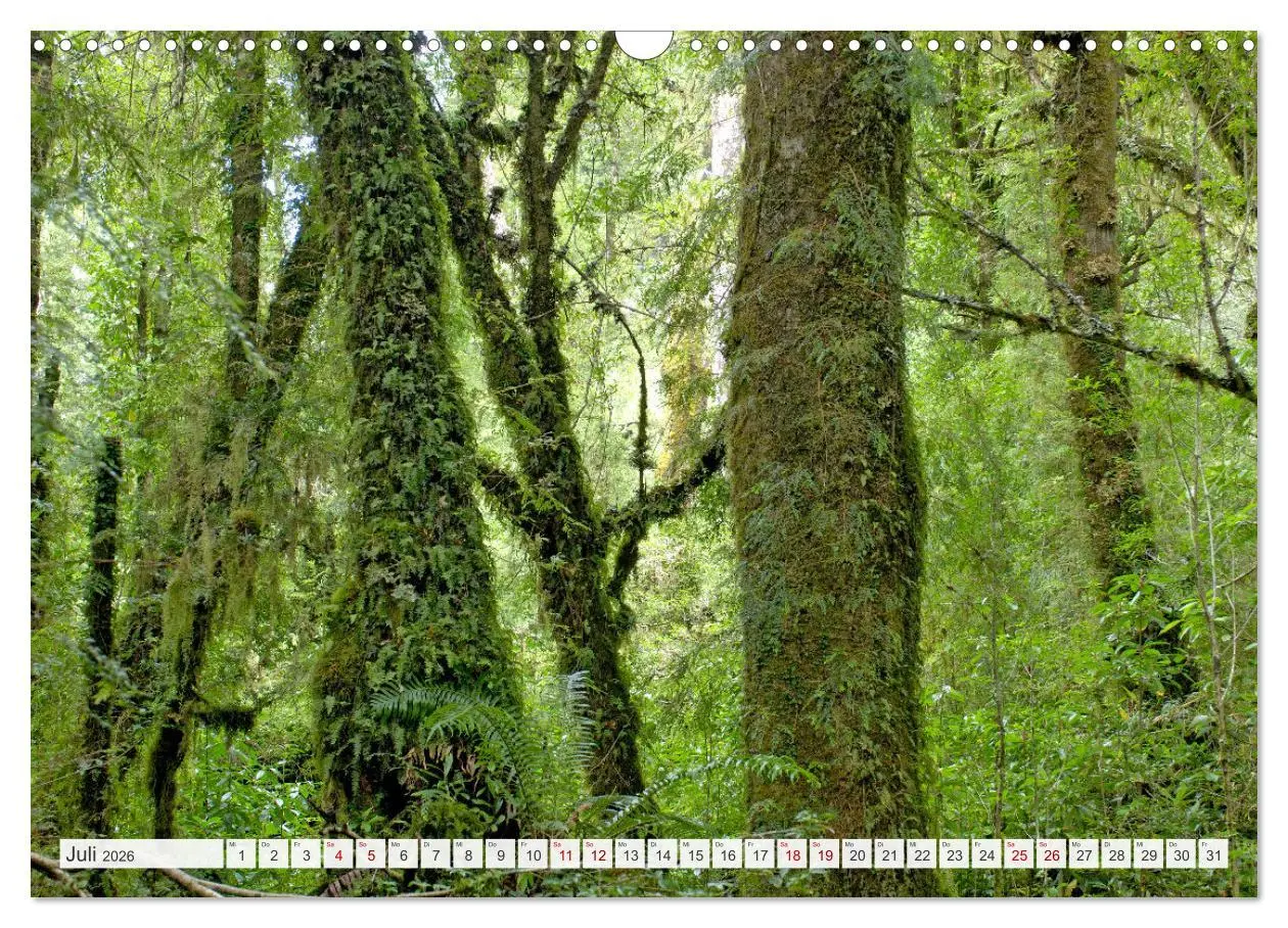 Bild: 9783457361641 | Magie dieses Südamerikanischen Landes, Chile (Wandkalender 2026 DIN...