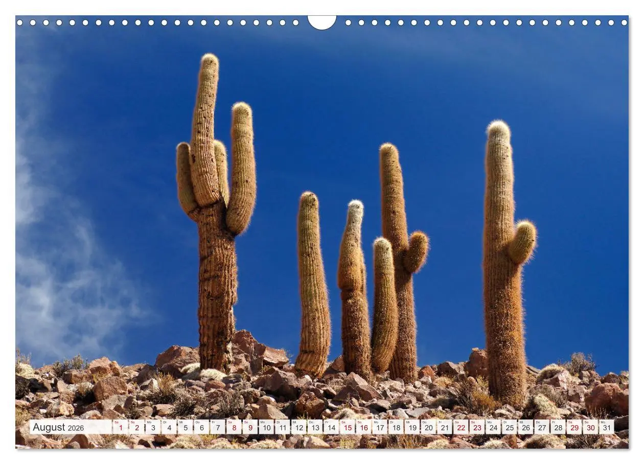 Bild: 9783457361641 | Magie dieses Südamerikanischen Landes, Chile (Wandkalender 2026 DIN...