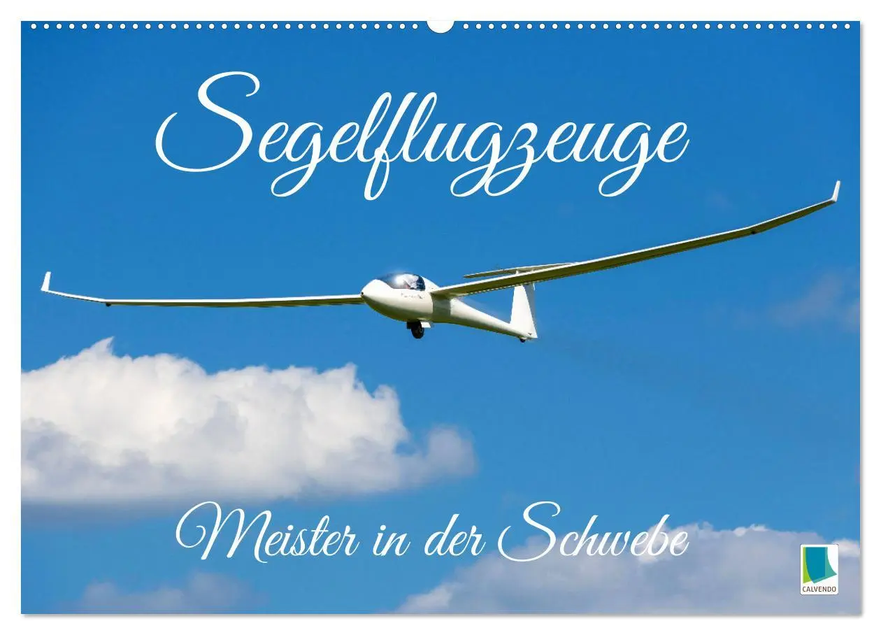 Cover: 9783457501641 | Meister in der Schwebe: Segelflugzeuge (Wandkalender 2026 DIN A2...