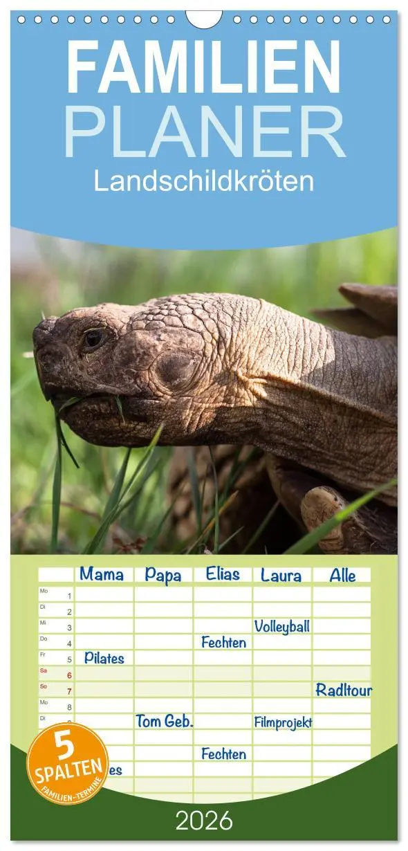 Cover: 9783516521641 | Familienplaner 2026 - Landschildkröten mit 5 Spalten (Wandkalender,...