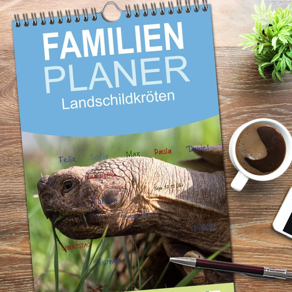 Bild: 9783516521641 | Familienplaner 2026 - Landschildkröten mit 5 Spalten (Wandkalender,...