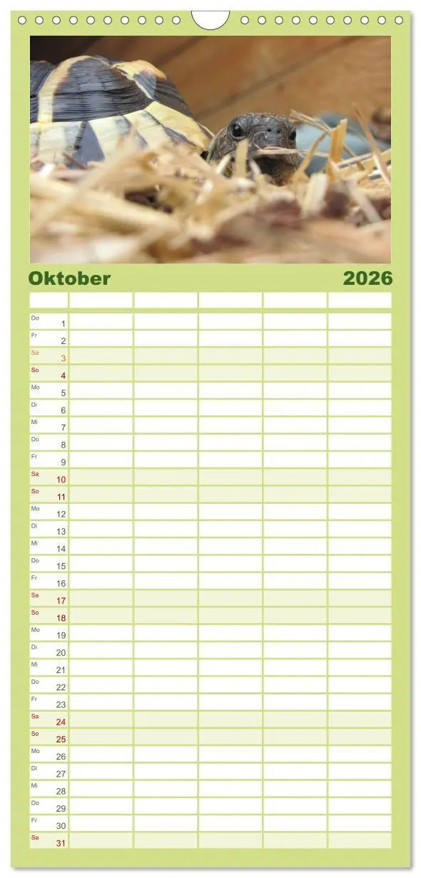 Bild: 9783516521641 | Familienplaner 2026 - Landschildkröten mit 5 Spalten (Wandkalender,...