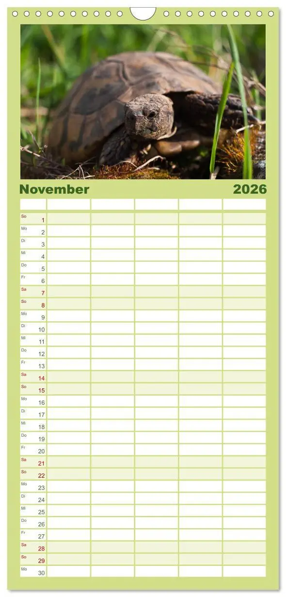 Bild: 9783516521641 | Familienplaner 2026 - Landschildkröten mit 5 Spalten (Wandkalender,...
