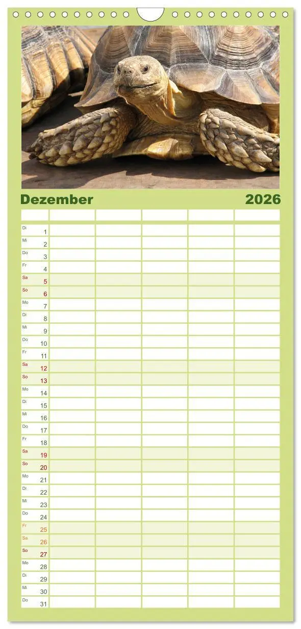 Bild: 9783516521641 | Familienplaner 2026 - Landschildkröten mit 5 Spalten (Wandkalender,...