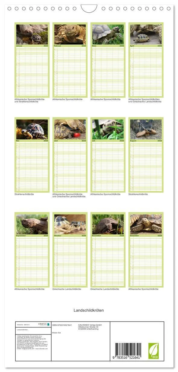 Bild: 9783516521641 | Familienplaner 2026 - Landschildkröten mit 5 Spalten (Wandkalender,...