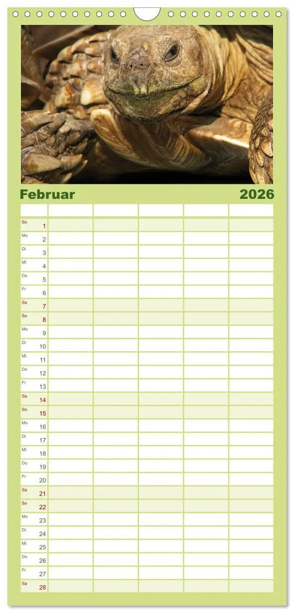 Bild: 9783516521641 | Familienplaner 2026 - Landschildkröten mit 5 Spalten (Wandkalender,...