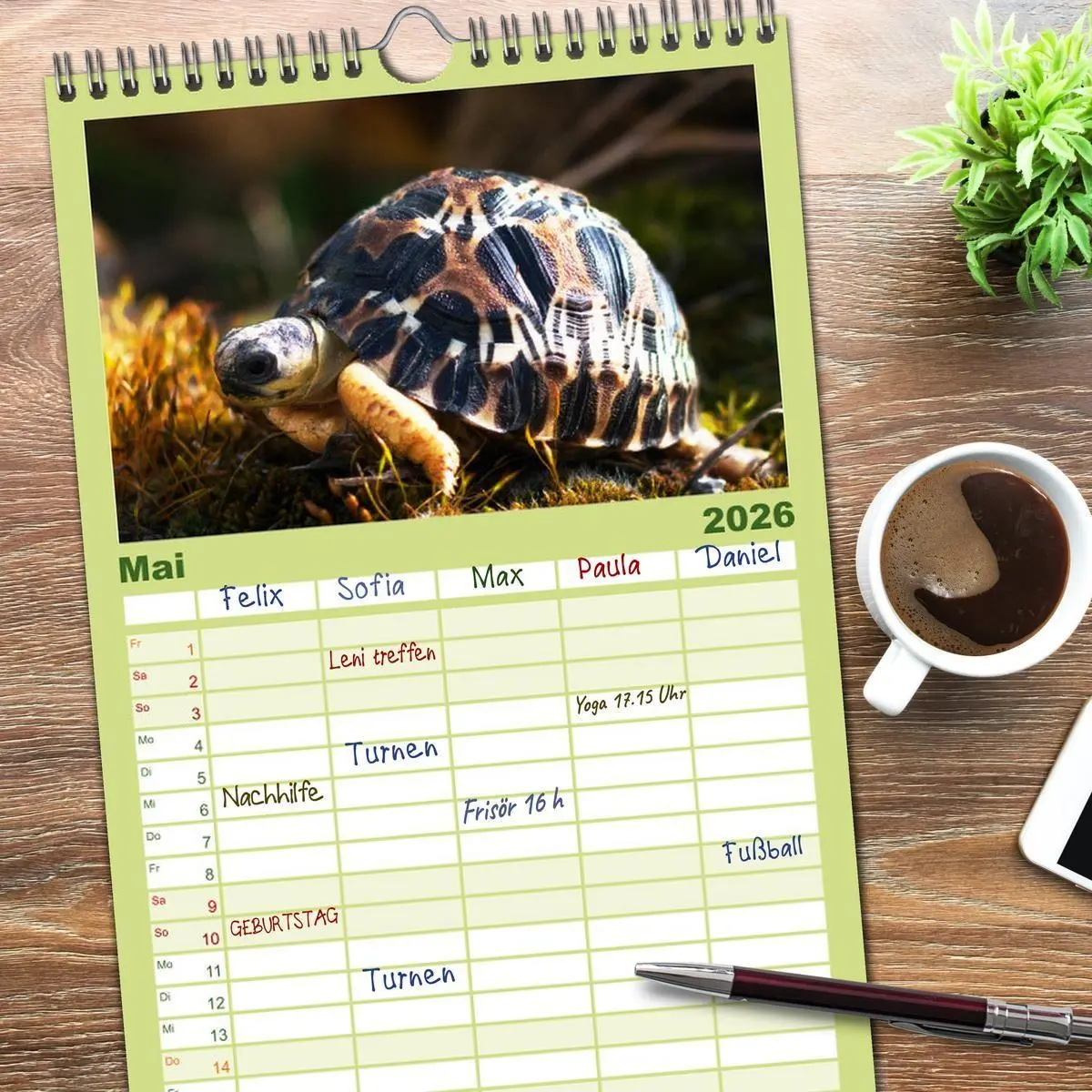 Bild: 9783516521641 | Familienplaner 2026 - Landschildkröten mit 5 Spalten (Wandkalender,...
