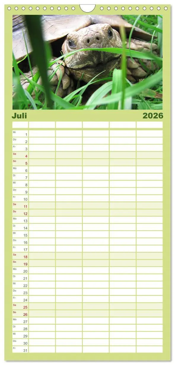 Bild: 9783516521641 | Familienplaner 2026 - Landschildkröten mit 5 Spalten (Wandkalender,...