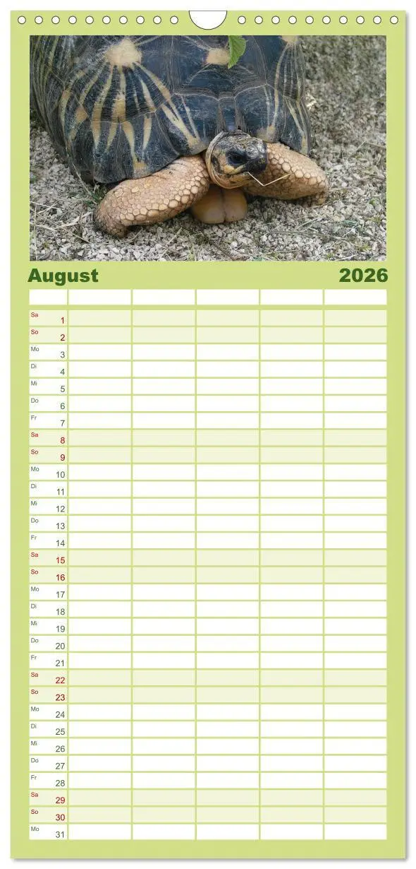 Bild: 9783516521641 | Familienplaner 2026 - Landschildkröten mit 5 Spalten (Wandkalender,...