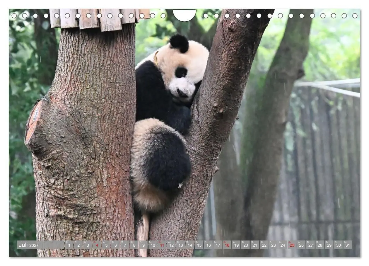 Bild: 9783516761641 | Erlebnis China (Wandkalender 2027 DIN A4 quer), CALVENDO...