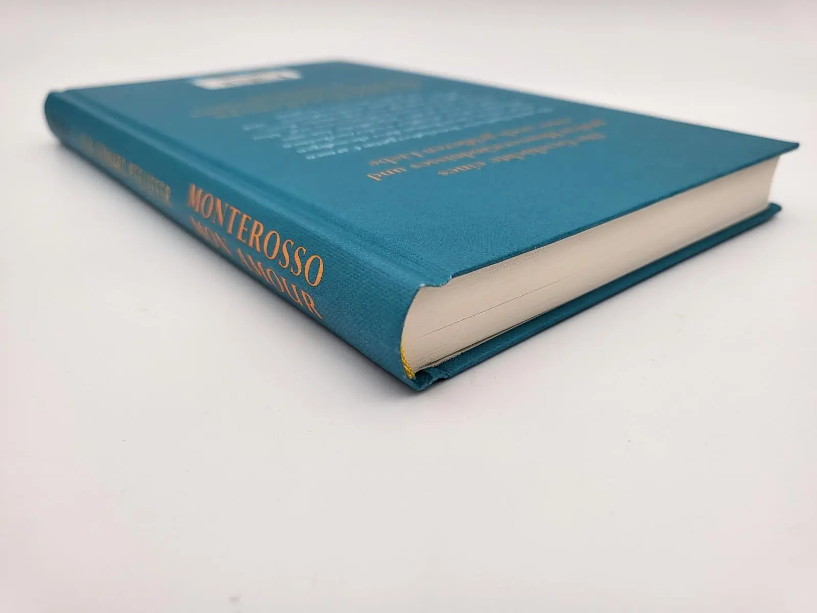 Bild: 9783492071741 | Monterosso mon amour | Ilja Leonard Pfeijffer | Buch | 144 S. | 2022