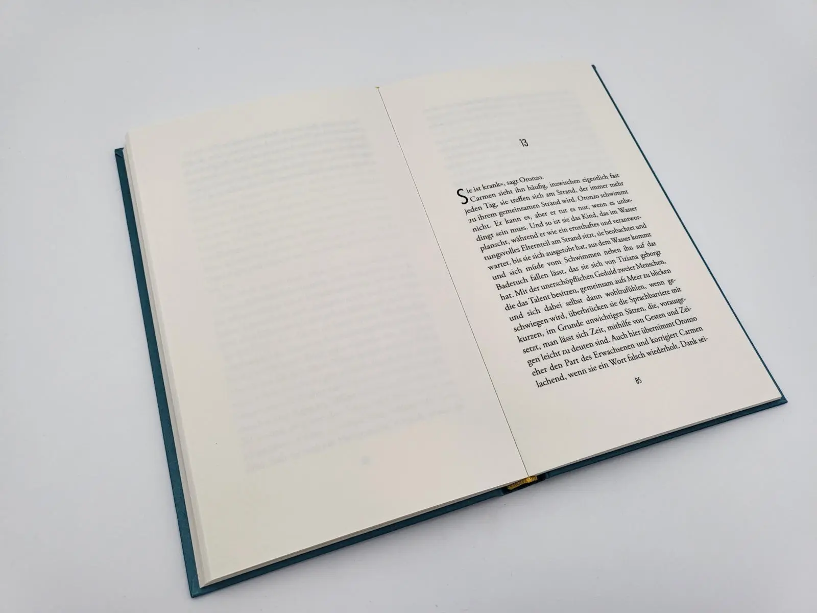 Bild: 9783492071741 | Monterosso mon amour | Ilja Leonard Pfeijffer | Buch | 144 S. | 2022