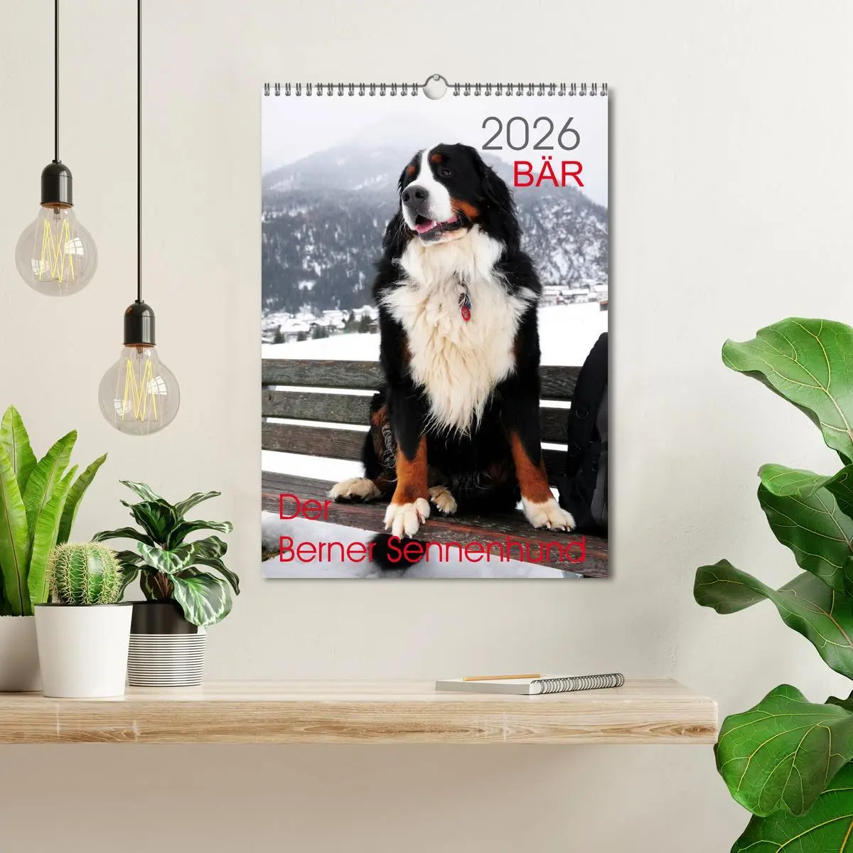 Bild: 9783516441741 | BÄR - Der Berner Sennenhund (Wandkalender 2026 DIN A3 hoch),...