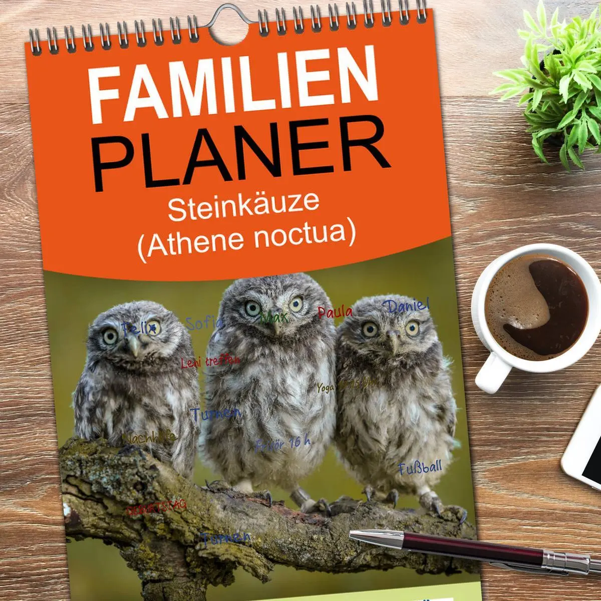 Bild: 9783516511741 | Familienplaner 2026 - Steinkäuze (Athene noctua) mit 5 Spalten...