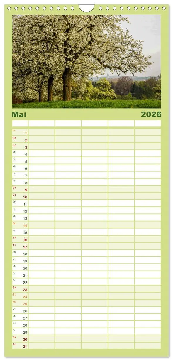 Bild: 9783516511741 | Familienplaner 2026 - Steinkäuze (Athene noctua) mit 5 Spalten...