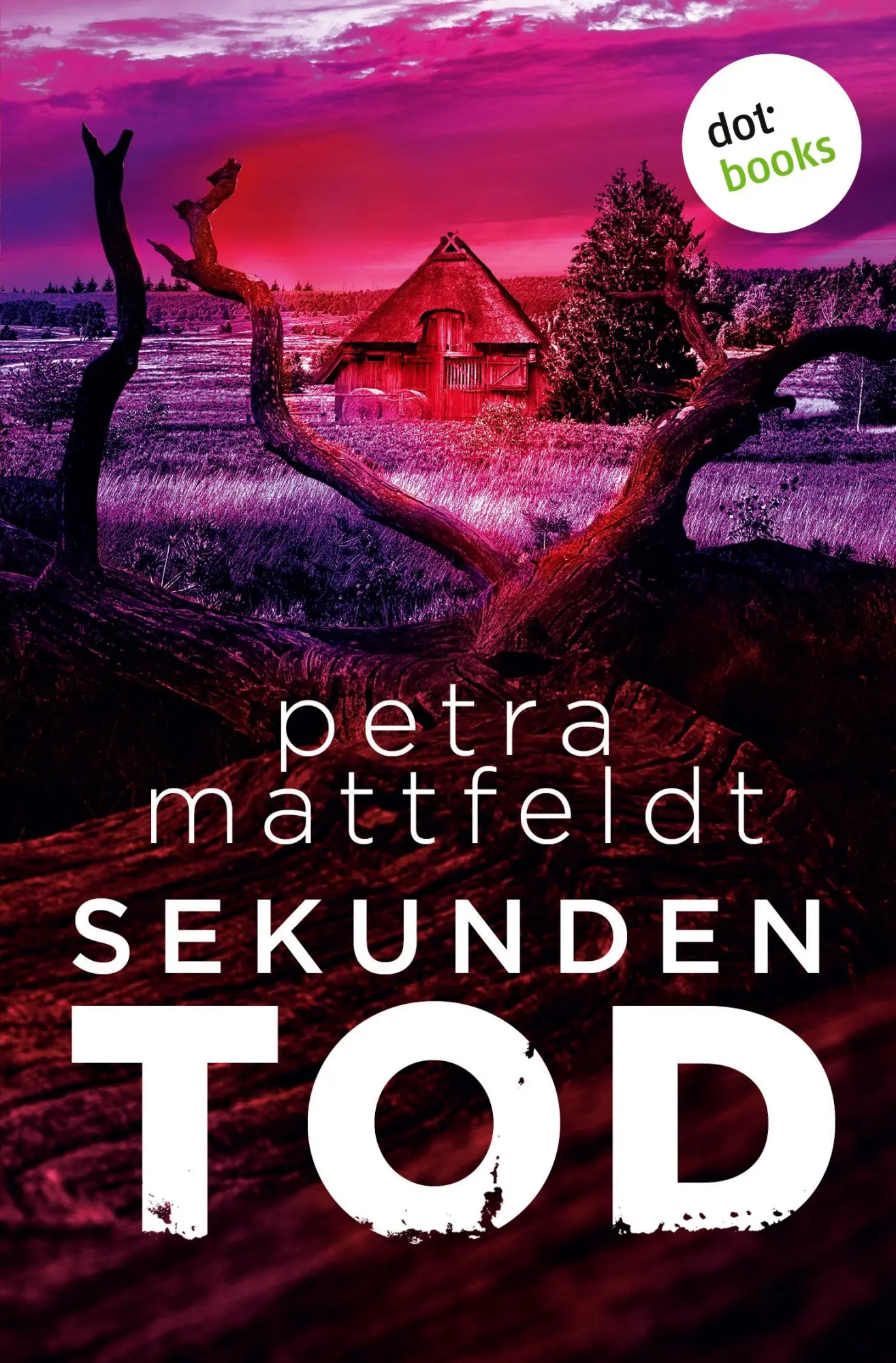 Cover: 9783690761741 | Sekundentod | Petra Mattfeldt | Taschenbuch | Falko Cornelsen | 400 S.