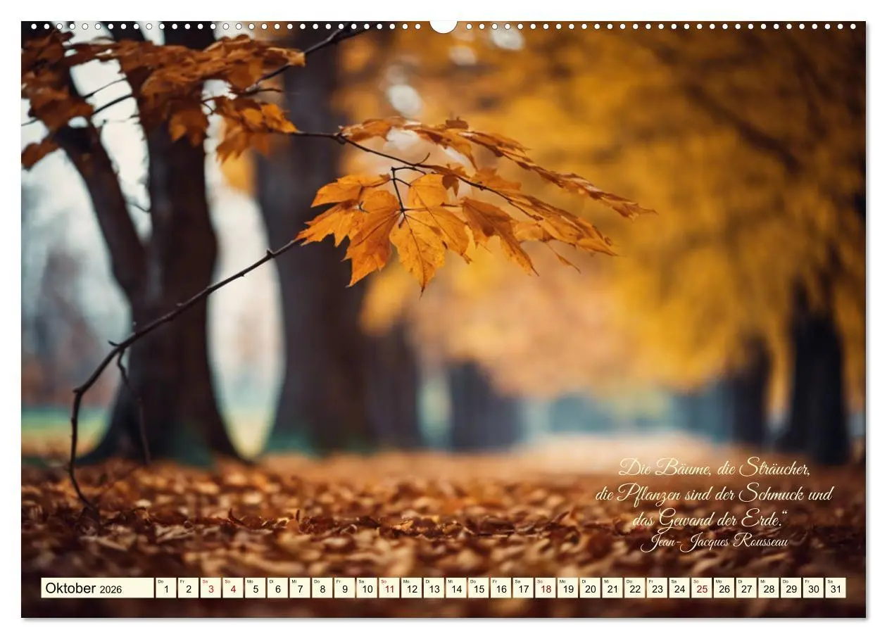 Bild: 9783457411841 | Waldbaden - Shinrin Yoku (Wandkalender 2026 DIN A2 quer), CALVENDO...