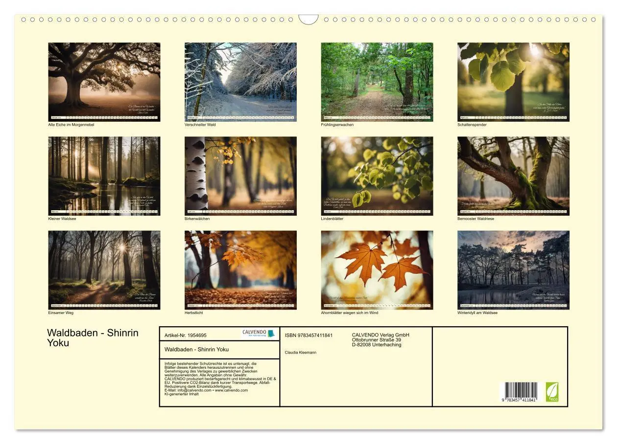 Bild: 9783457411841 | Waldbaden - Shinrin Yoku (Wandkalender 2026 DIN A2 quer), CALVENDO...