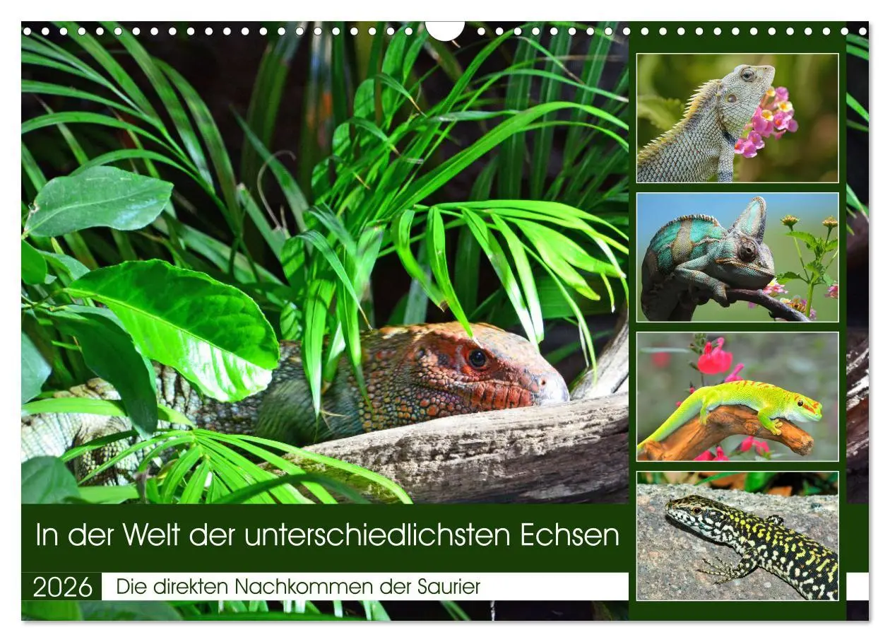 Cover: 9783457571941 | In der Welt der unterschiedlichsten Echsen (Wandkalender 2026 DIN...