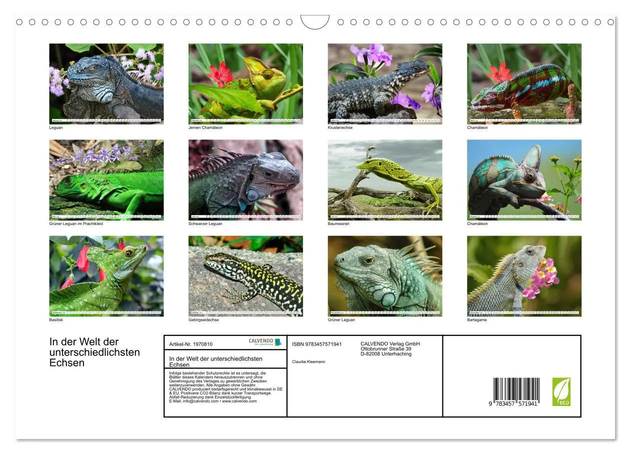 Bild: 9783457571941 | In der Welt der unterschiedlichsten Echsen (Wandkalender 2026 DIN...