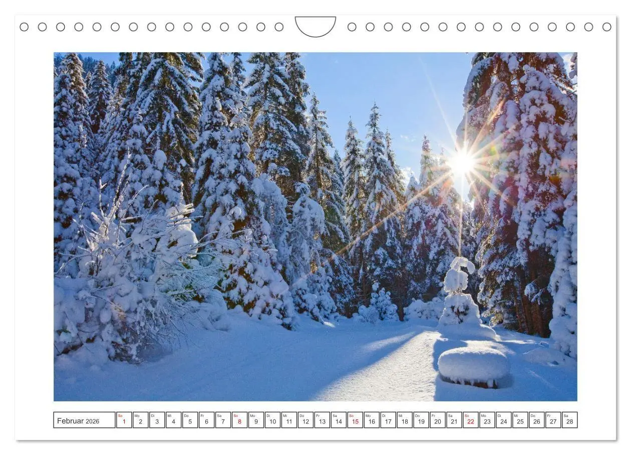 Bild: 9783516661941 | Willkommen in Tamsweg (Wandkalender 2026 DIN A4 quer), CALVENDO...