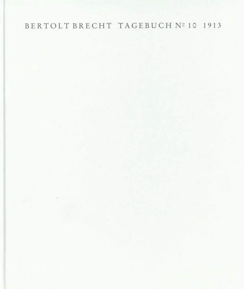 Tagebuch Nr.10, 1913, 2 Bde.